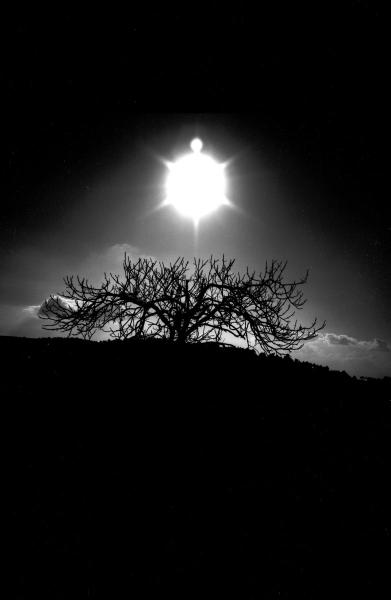 This was my first experiment with high-contrast film (Kodalith). The result was dramatic — the tree reduced to a pure silhouette, the sun exploding above it like a spotlight in an empty stage. Every detail fades into black or white, nothing in between, giving the scene a surreal, almost mystical intensity.