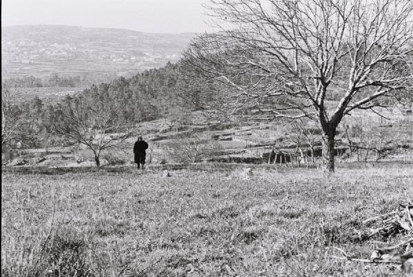 Vila Nova de Paiva, 1990s. A person dressed in black, standing calmly, surrounded by a sea of greys. The large tree in the foreground draws the viewer’s eye first, then the gaze moves naturally toward the solitary figure, and finally to the smaller tree in the distance. The composition feels balanced and quiet, leaving a sense of peace and solitude.