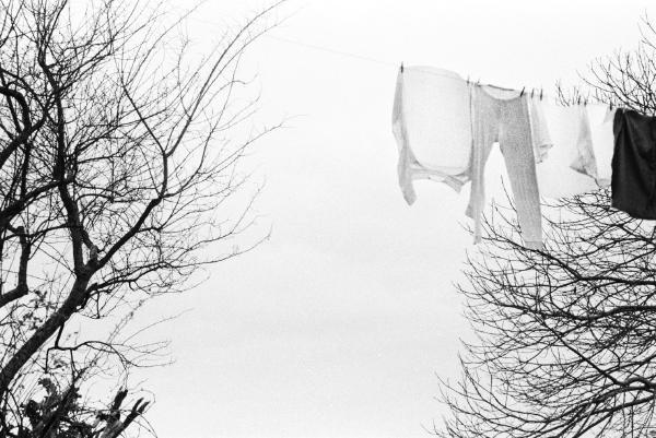 The empty space of the sky gives the image a strong sense of balance. The two trees on each side act as a natural frame, leading the eye toward the hanging clothes. The contrast between the fine lines of the branches and the soft shapes of the fabric adds depth and texture. It’s a minimal composition, but one that feels complete. Light, form, and silence all work together.