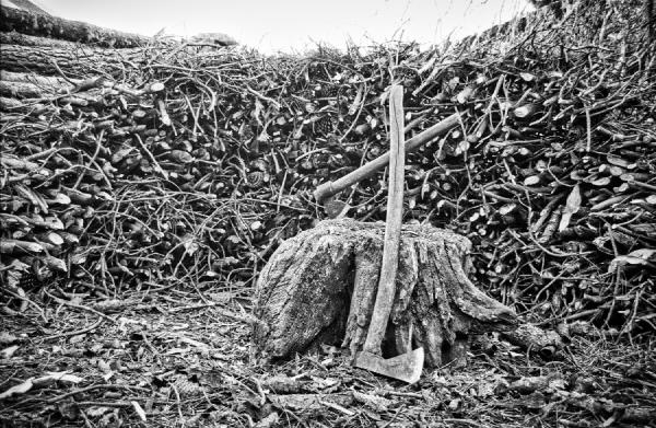 Two axes rest against a tree stump, surrounded by a wall of stacked wood. The tools, marked by years of use, seem to wait in quiet pause between labour and rest. The composition is simple but strong — lines, textures, and balance forming a kind of rural still life, where effort and patience leave their trace.
